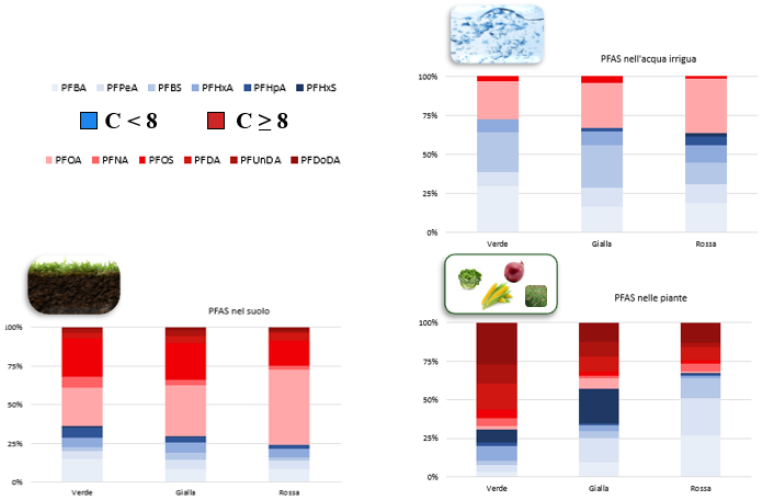 Figura 2: Composizione della contaminazione da PFAS nei campioni. I composti a catena corta (C<8) sono rappresentati in diverse tonalità di azzurro mentre i composti a catena lunga (C≥8) sono riportati in diverse tonalità di rosso.